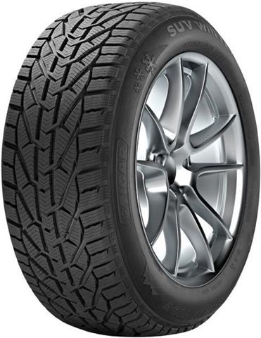 195/55 R16 87H TL WINTER IARNA EE:E FR:C U:2 72DB