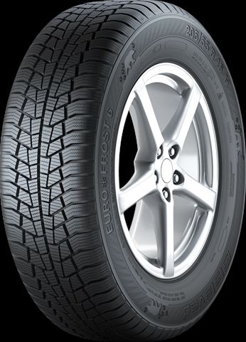 205/55R16 91H EURO*FROST 6 IARNA EE:E FR:C U:2 72DB