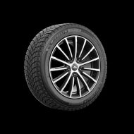 225/40 R19 93H XL TL XICE SNOW IARNA M+S 3PMSF EE:C FR:E U/NL:A 69DB